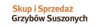 Skup i Sprzedaż Grzybów Suszonych Wiesław Guzik
